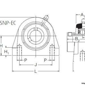 rhp-SNP20EC-two-bolt-flanged-unit-(new)-(carton)-2
