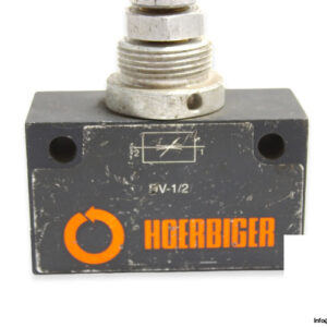 hoerbiger-dv-1_2-flow-control-valve-1