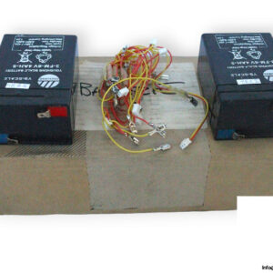 yousheng-3-FM-6V-4AH-5-scale-battery-used