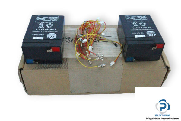 yousheng-3-FM-6V-4AH-5-scale-battery-used