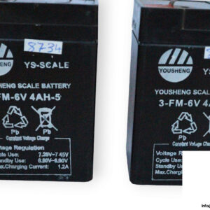 yousheng-3-FM-6V-4AH-5-scale-battery-used-2