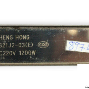 zheng-hong-DG21J2-03(E)-heater-(used)-1