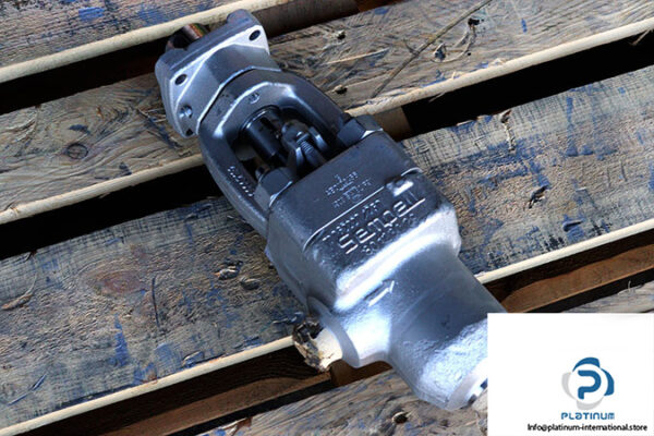 pentair-70062220_250-control-valve-(new)