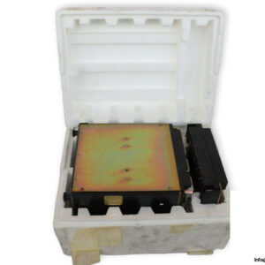 cee-DTM-7033-machine-differential-protection-relay-(new)-1