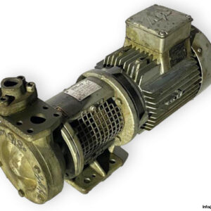 speck-pumpen-TOE_CY-6091.0246-Heat-transfer-pump-(used)-1