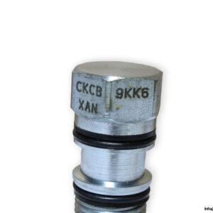 sunhydraulics-SKEBXAN-9KK6-pilot-to-open-check-valve-new-2