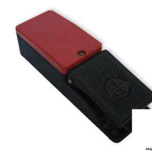 bernstein-F1-U1Y-footswitch-with-single-pedal-used