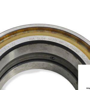ina-sl04-5020-pp-double-row-cylindrical-roller-bearing-1