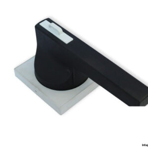 siemens-8UC63-10-1BB-handle-with-masking-plate-(new)