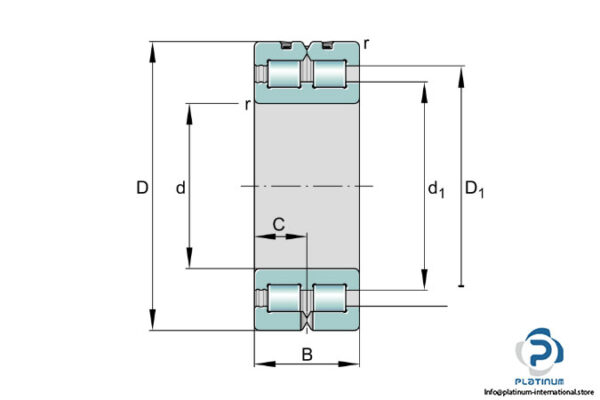 ina-sl-01-4848-double-row-cylindrical-roller-bearing-2