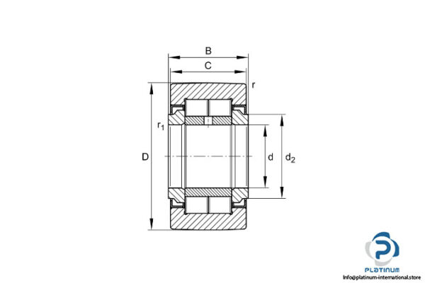 fag-nutr45100-yoke-type-track-roller-2