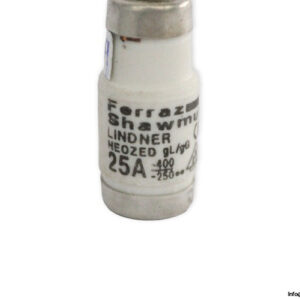 ferraz-shawmut-W213160-fuse-link-(New)-2