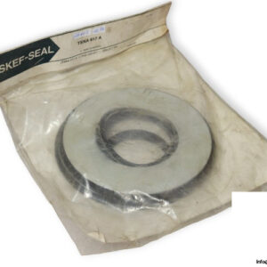 skef-seal-TSNA-617-A-housing-seal-(new)