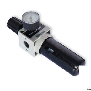 Numatics-P22BG04-air-filter-regulator-(used)