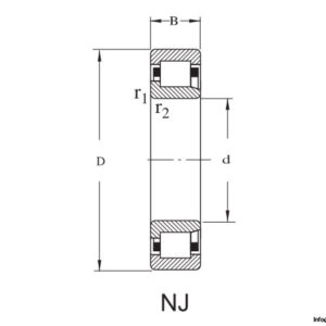 flt-nj-311-cylindrical-roller-bearing-2