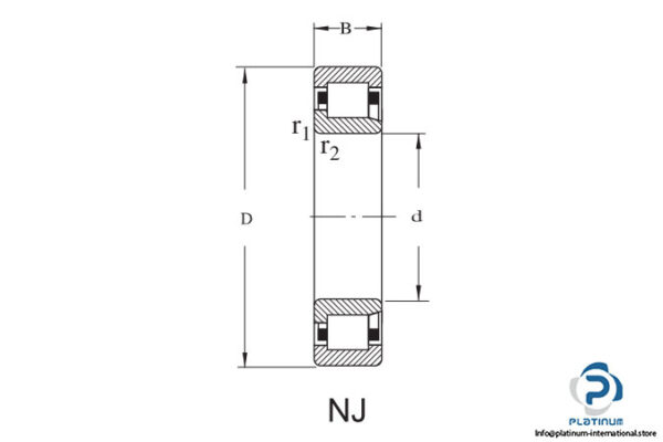 flt-nj-311-cylindrical-roller-bearing-2
