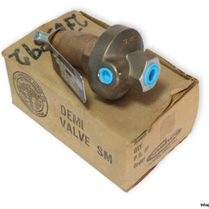 cashco-1_4-NPT-I465-SST_BRZ_S40M-pressure-relief-(new)