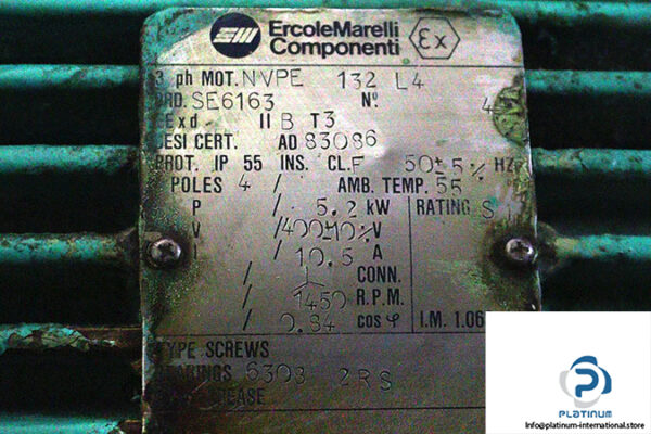 ercolemarelli-comoponenti-NVPE-132-L4-3-phase-electric-motor-used-2