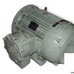 ercolemarelli-comoponenti-NVE-225-DS-4-3-phase-electric-motor-used-1