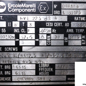 ercolemarelli-comoponenti-NVE-225-DS-4-3-phase-electric-motor-used-2