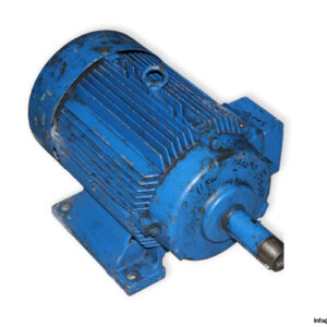 aeg-AM-160-MP-2-3-phase-electric-motor-used