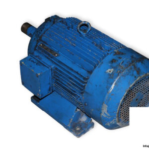aeg-AM-160-MP-2-3-phase-electric-motor-used-1
