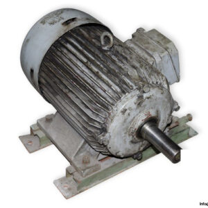 sever-1ZK160M2-3-phase-electric-motor-used