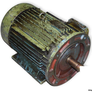 enrico-bezzi-NFRG-160L_4-3-phase-electric-motor-used