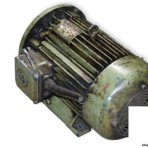 enrico-bezzi-NFRG-160L_4-3-phase-electric-motor-used-1