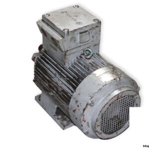 siemens-1MJ3130I6CA40-3-phase-electric-motor-used-1