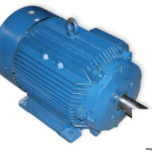 brook-crompton-UD200L-3-phase-electric-motor-used