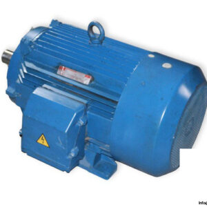 brook-crompton-UD200L-3-phase-electric-motor-used-1