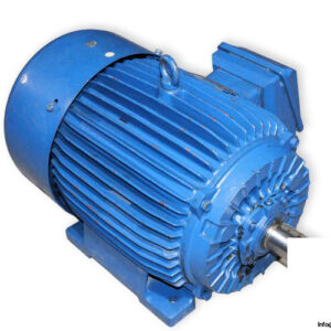 motore-asincrono-trifase-200-LA-2-3-phase-electric-motor-new
