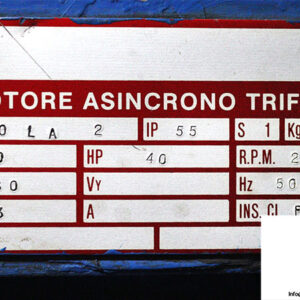 motore-asincrono-trifase-200-LA-2-3-phase-electric-motor-new-2