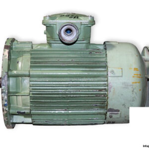 ercolemarelli-comoponenti-NVPE-160L-2-3-phase-electric-motor-used-1
