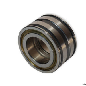 ina-SL045007-cylindrical-roller-bearing-(new)-(carton)