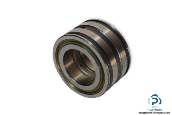 ina-SL045007-cylindrical-roller-bearing-(new)-(carton)