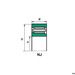 rollway-nj-314-e-cylindrical-roller-bearing-2