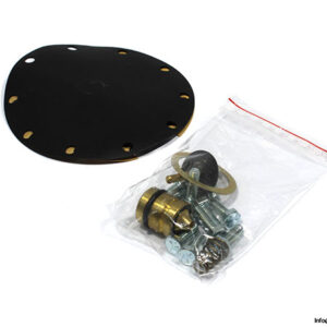 Norgren-11-809-081-repair-kit