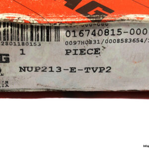 fag-nup213-e-tvp2-cylindrical-roller-bearing-1