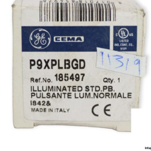 cema-P9XPLBGD-illuminated-standard-push-button-(new)-2