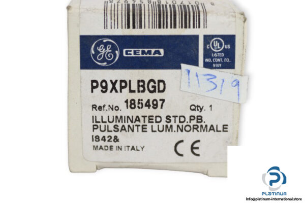 cema-P9XPLBGD-illuminated-standard-push-button-(new)-2