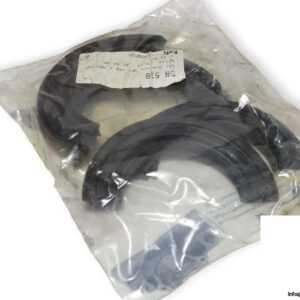 fag-DH-518-sealing-ring-(new)-(carton)