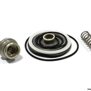 Norgren-4381-300-service-kit-relieving