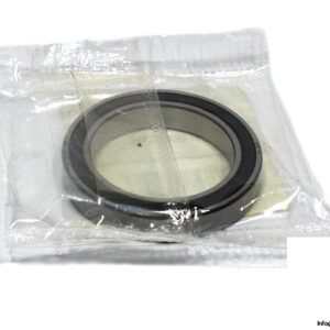 skf-61806-2RS1-deep-groove-ball-bearing