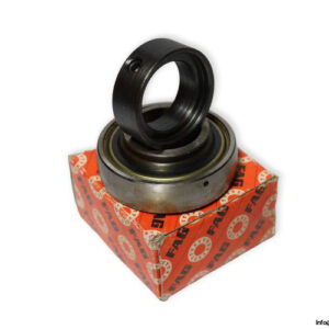 fag-16206-insert-ball-bearing-(new)-(carton)