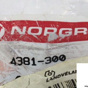 norgren-4381-300-service-kit-relieving-2-2