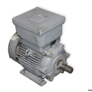 loher-D3A132M-4-3-phase-proof-motor-used