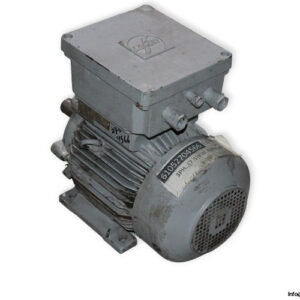 loher-D3A132M-4-3-phase-proof-motor-used-1