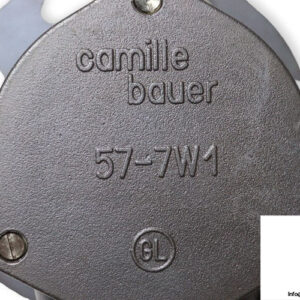camille-bauer-KINAX-7W1_778-13-angular-transmitter-new-3